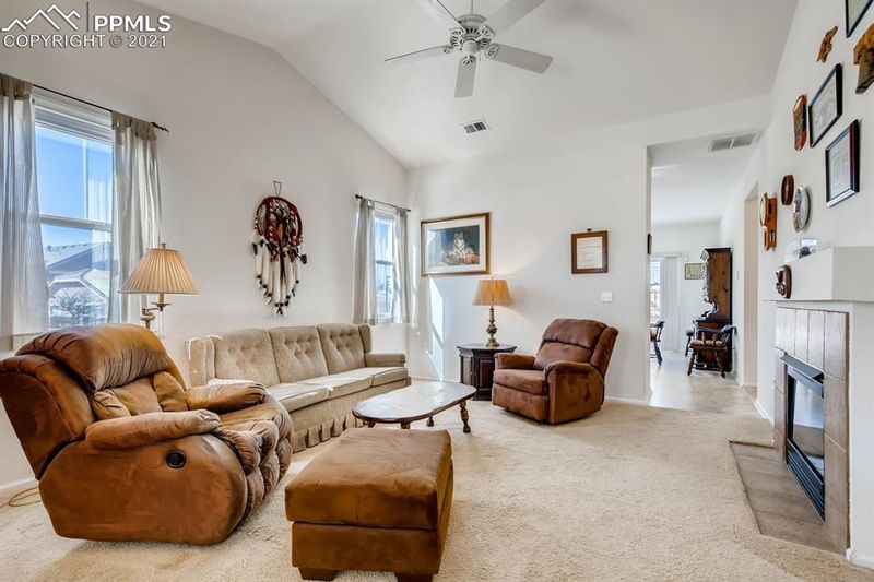 4021 Shane Valley Trl, Castle Rock, CO 80109