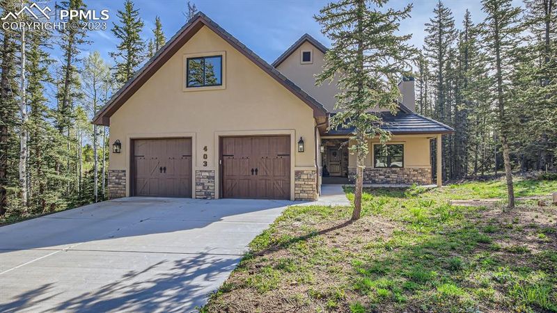 403 Silvermoon Hts, Divide, CO 80814