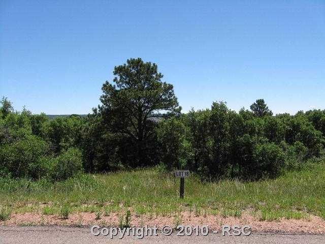 4035 Deer Valley Ct, Monument, CO 80132