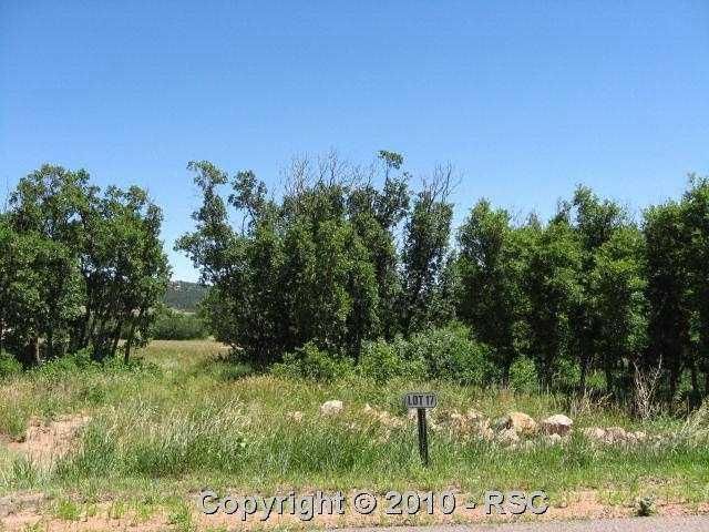 4036 Deer Valley Ct, Monument, CO 80132