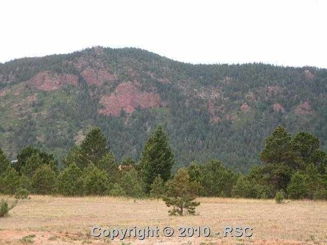 4036 Deer Valley Ct, Monument, CO 80132