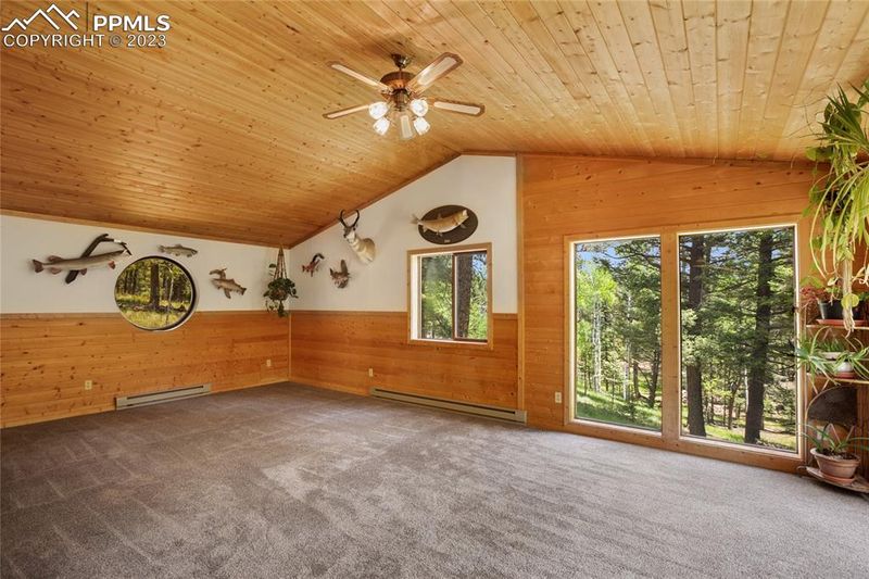 4036 Omer Ln, Divide, CO 80814