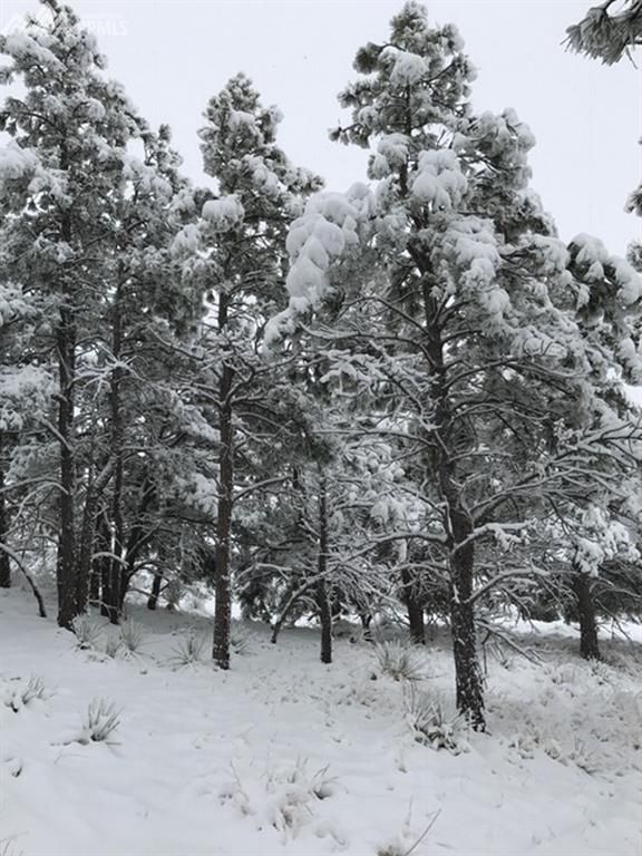 40362 Gold Nugget Dr, Deer Trail, CO 80105