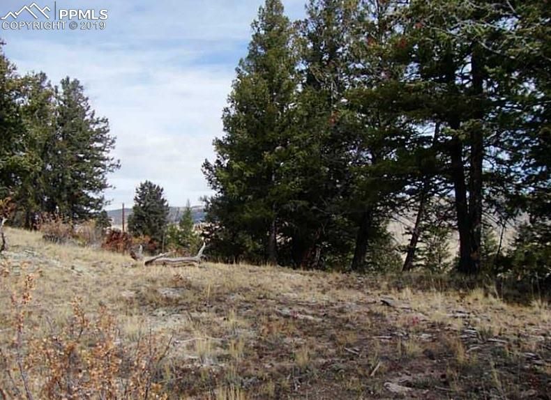 4037 Middle Fork Vi, Fairplay, CO 80440