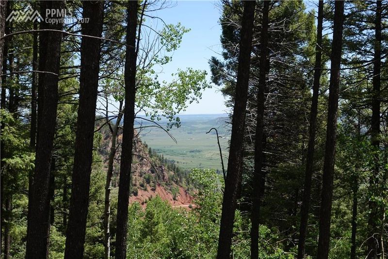 4054 Forest Ln, Larkspur, CO 80118