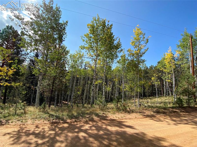 4058 Omer Ln, Divide, CO 80814