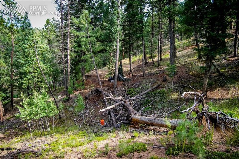 406 Overlook Cir, Sedalia, CO 80135