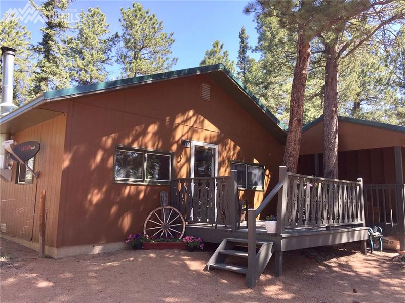 4064 Omer Ln, Divide, CO 80814
