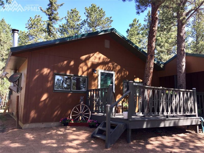 4064 Omer Ln, Divide, CO 80814