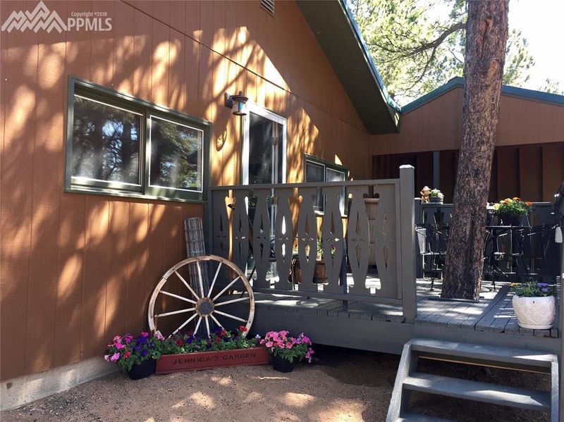 4064 Omer Ln, Divide, CO 80814