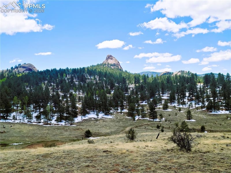 409 Wind Dancer Cir, Florissant, CO 80816