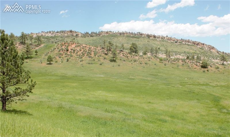 4115 Mohawk Dr, Larkspur, CO 80118