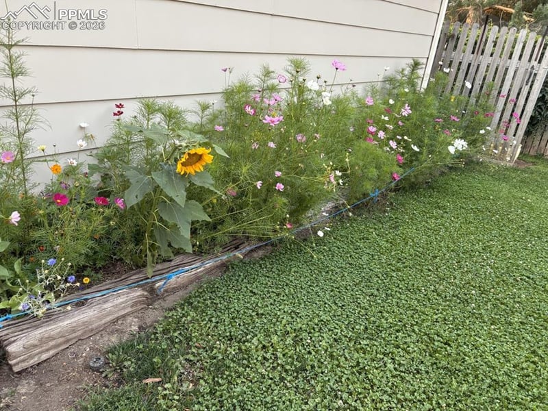 4127 Palmer Park Blvd, Colorado Springs, CO 80909