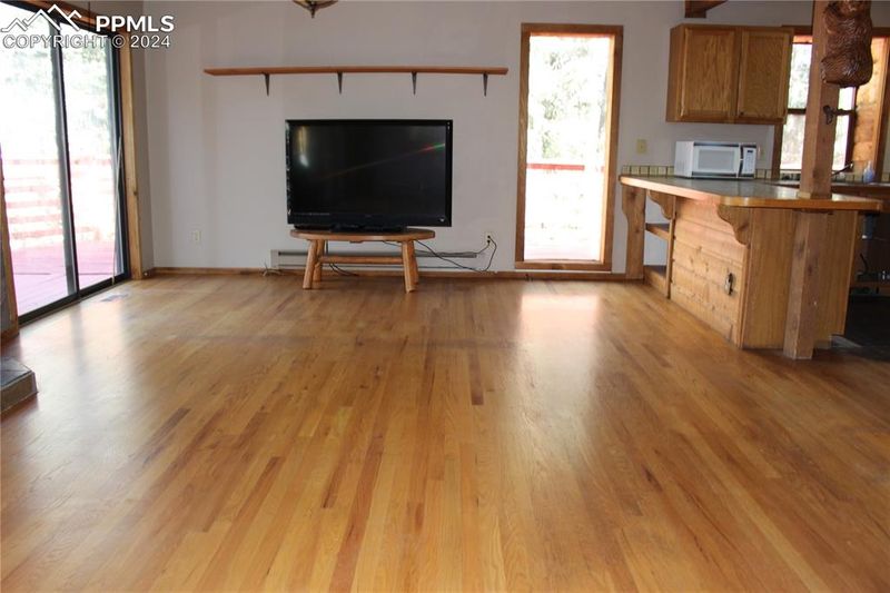 413 Will Stutley Dr, Divide, CO 80814