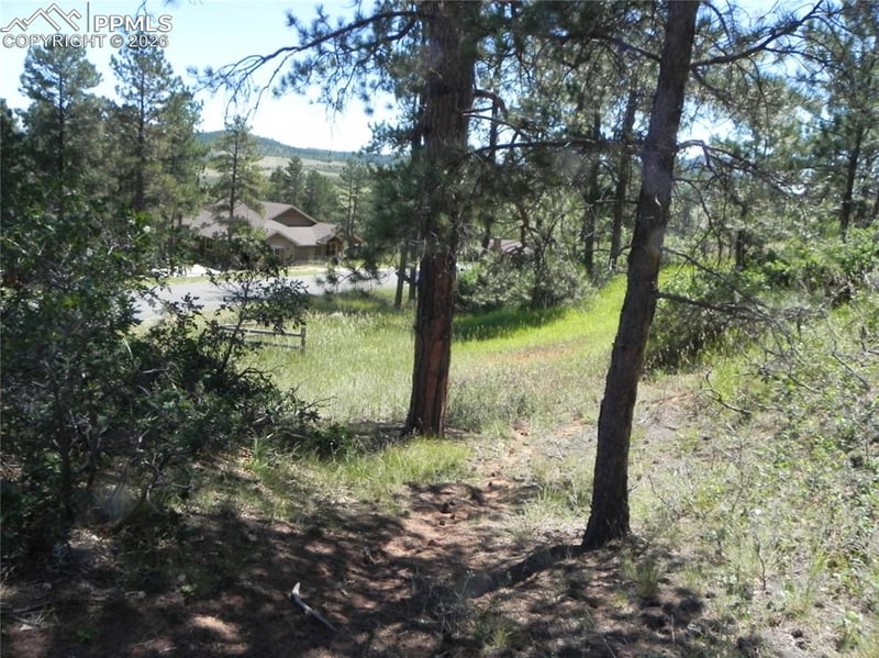 4144 Cheyenne Dr, Larkspur, CO 80118