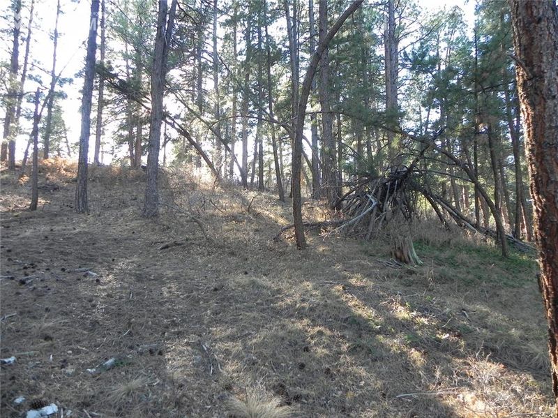 4156 Cheyenne Dr, Larkspur, CO 80118