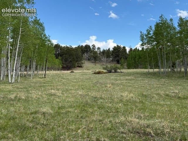417 Aspen Way Dr, Florissant, CO 80816