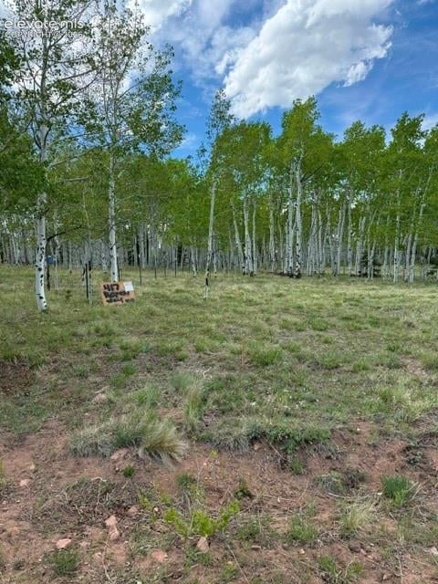 417 Aspen Way Dr, Florissant, CO 80816