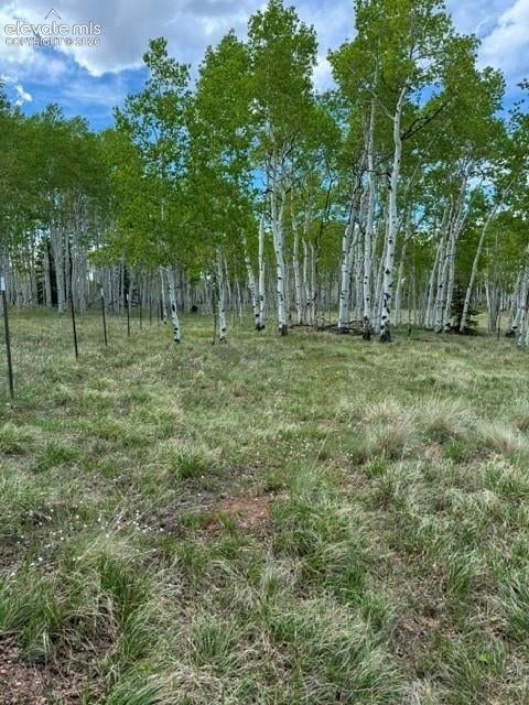 417 Aspen Way Dr, Florissant, CO 80816