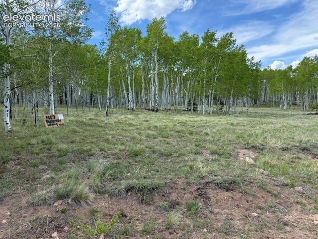417 Aspen Way Dr, Florissant, CO 80816
