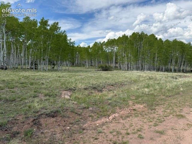417 Aspen Way Dr, Florissant, CO 80816