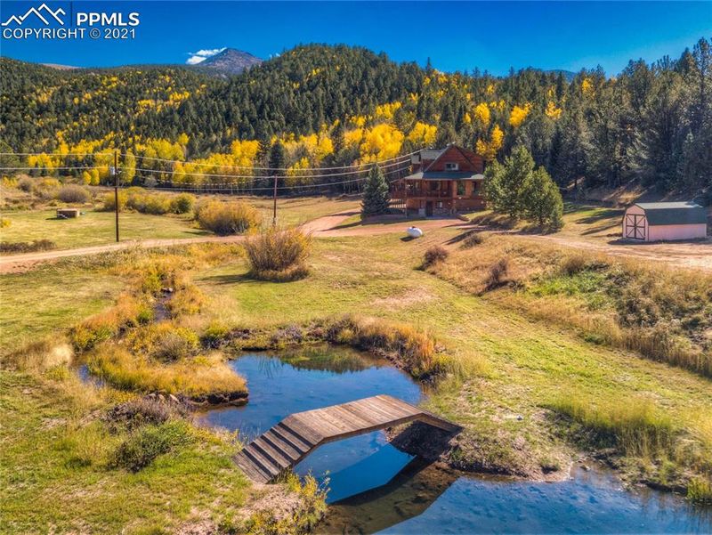 417 Beaver Pond Rd, Divide, CO 80814