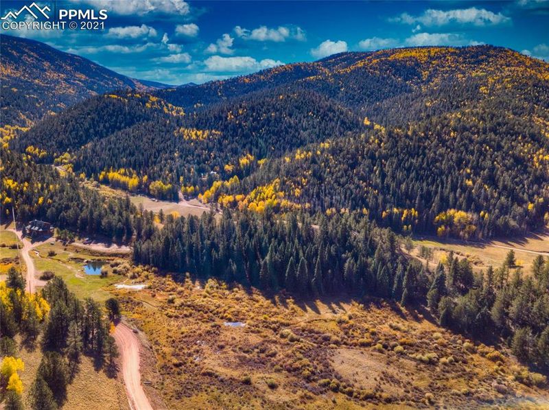 417 Beaver Pond Rd, Divide, CO 80814