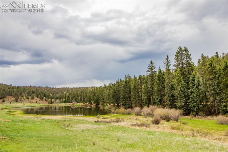 417 Shadow Lake Dr, Divide, CO 80814