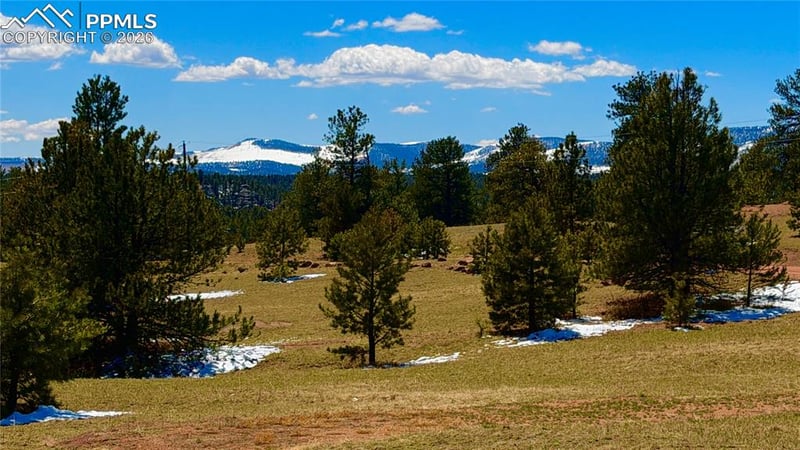 418 Scott Dr, Florissant, CO 80816