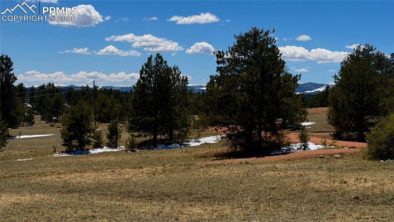 418 Scott Dr, Florissant, CO 80816