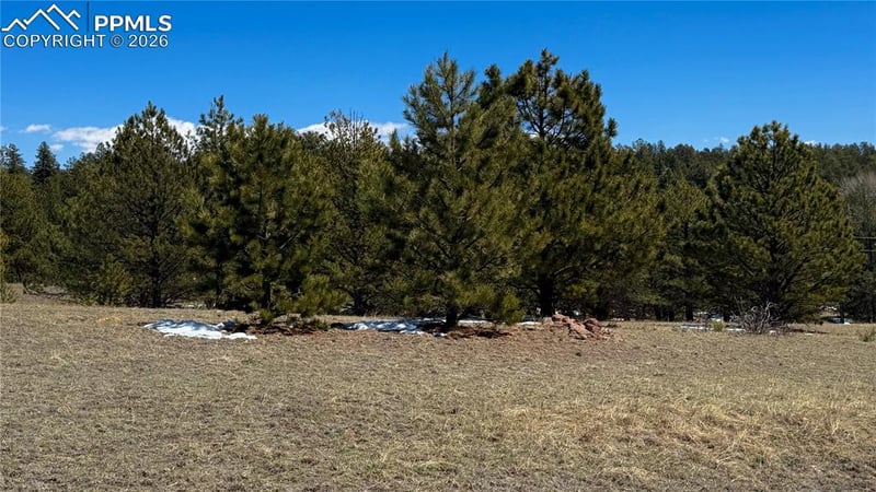 418 Scott Dr, Florissant, CO 80816