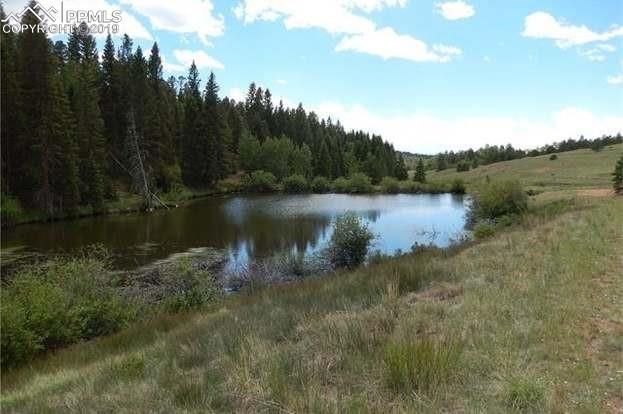 4185 Cedar Mountain Rd, Divide, CO 80814