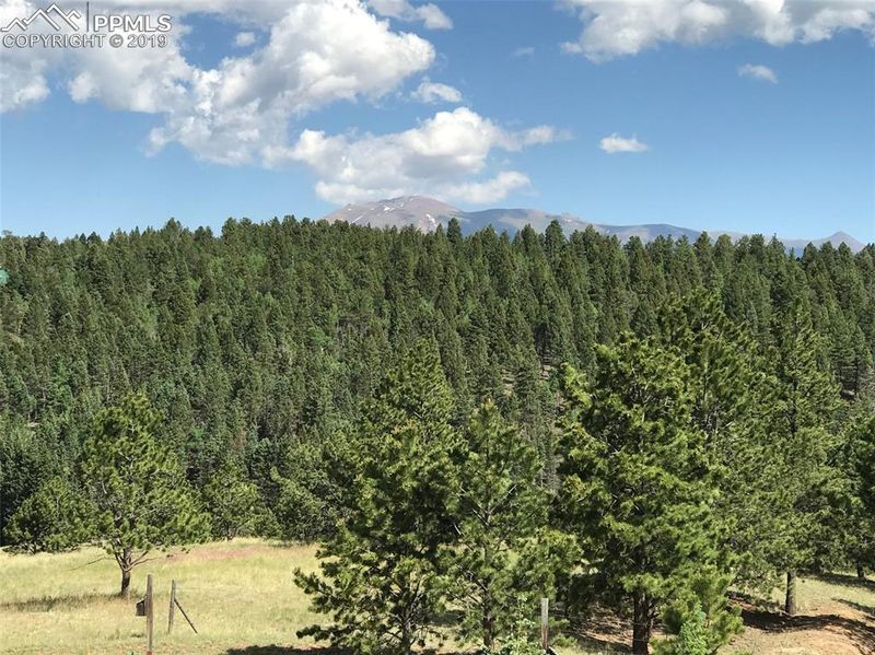 4185 Cedar Mountain Rd, Divide, CO 80814