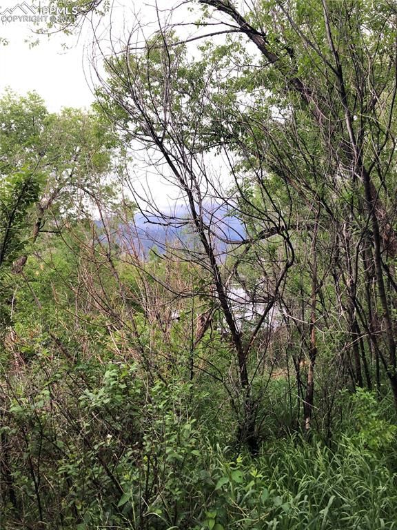 420 Spring St, Colorado Springs, CO 80904