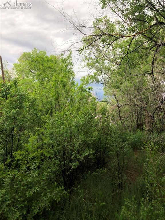 420 Spring St, Colorado Springs, CO 80904