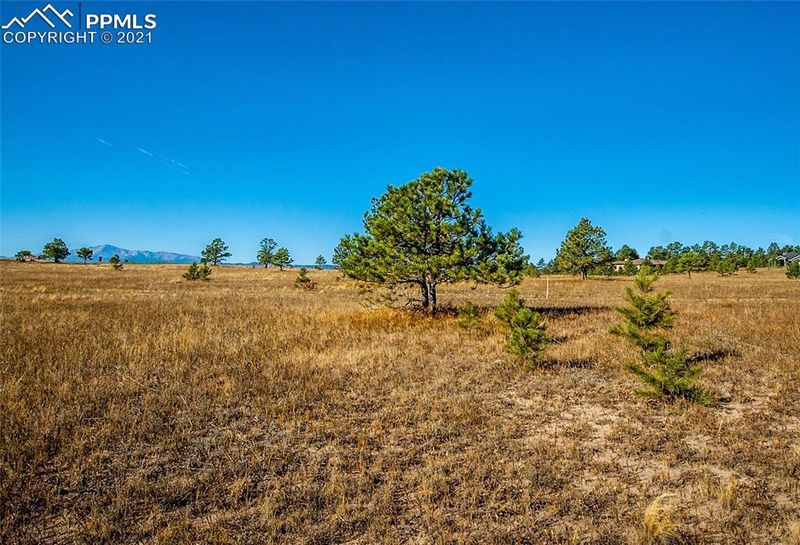 4207 Silver Nell Dr, Colorado Springs, CO 80908