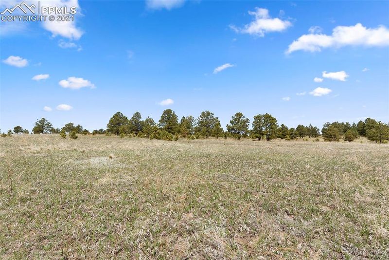 4207 Silver Nell Dr, Colorado Springs, CO 80908