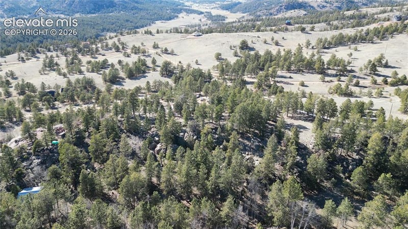421 Crescent Dr, Florissant, CO 80816