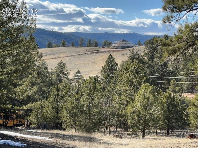 421 Crescent Dr, Florissant, CO 80816