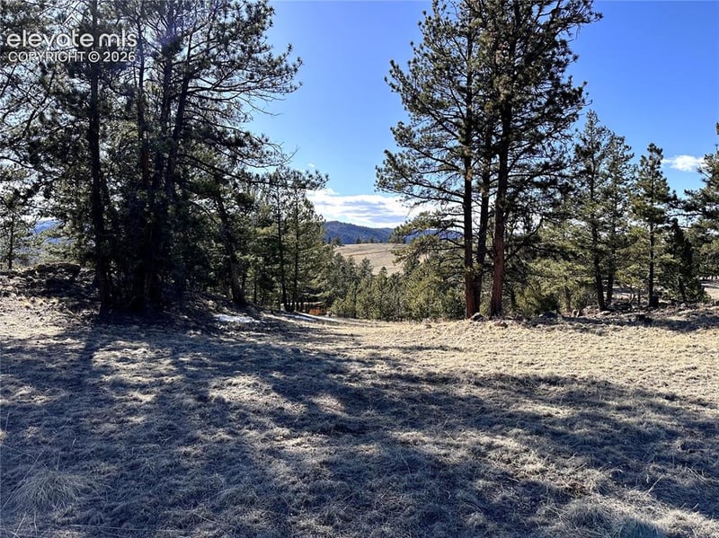 421 Crescent Dr, Florissant, CO 80816