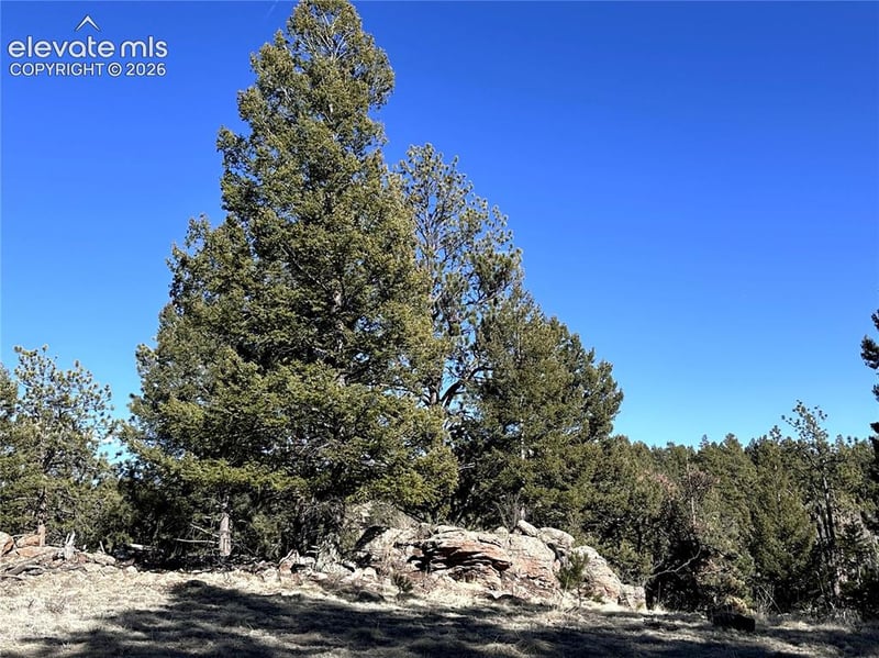421 Crescent Dr, Florissant, CO 80816