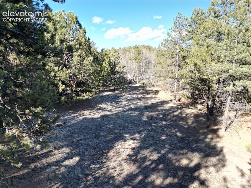 421 Crescent Dr, Florissant, CO 80816