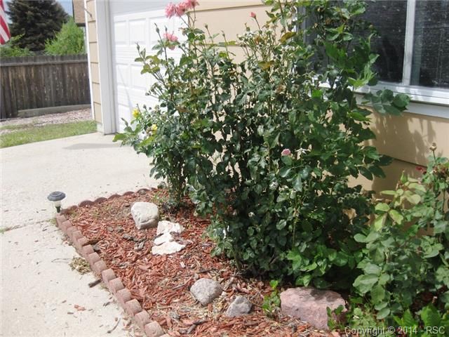 4218 Morley Dr, Colorado Springs, CO 80916