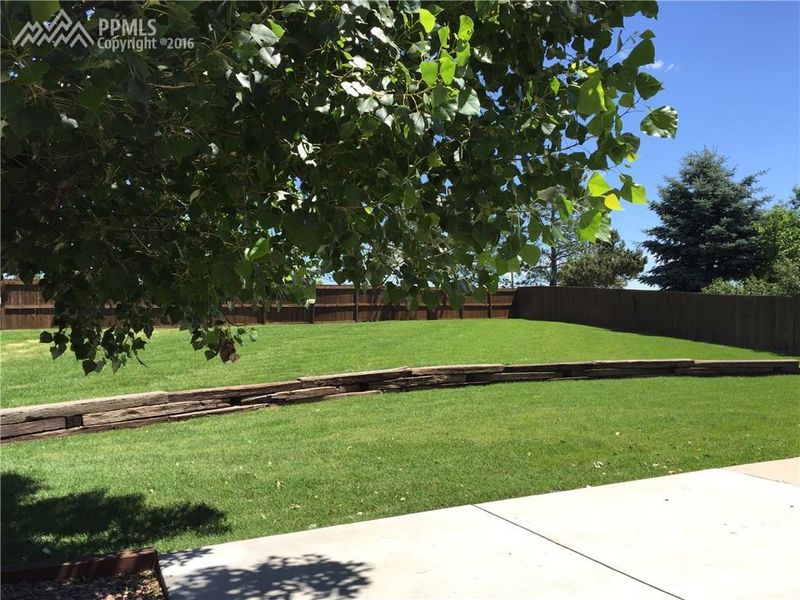 4225 Scotch Pine Dr, Colorado Springs, CO 80920