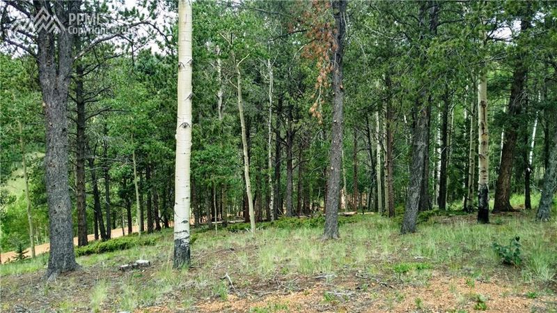 423 Valley Rd, Divide, CO 80814