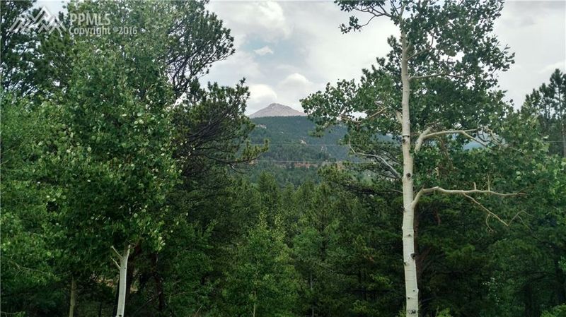423 Valley Rd, Divide, CO 80814