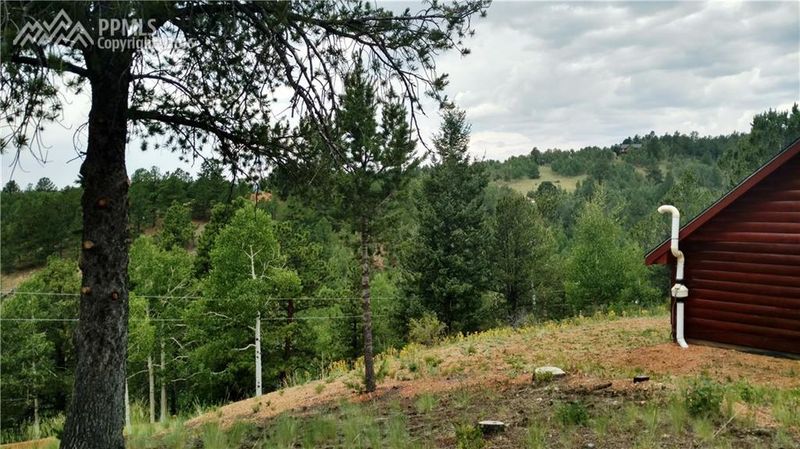 423 Valley Rd, Divide, CO 80814