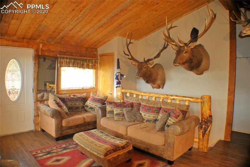 424 Lost Lake Dr, Divide, CO 80814