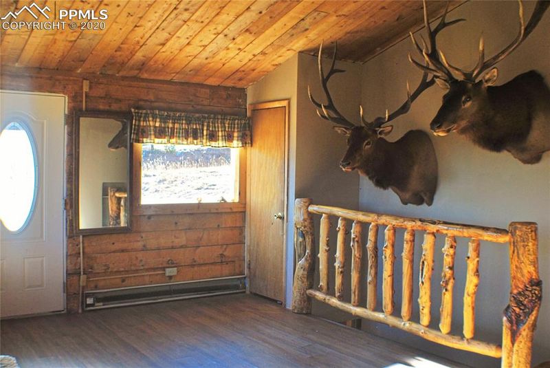 424 Lost Lake Dr, Divide, CO 80814
