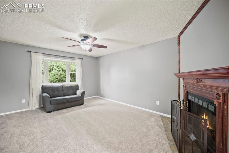 4260 Brightside Ct, Colorado Springs, CO 80916
